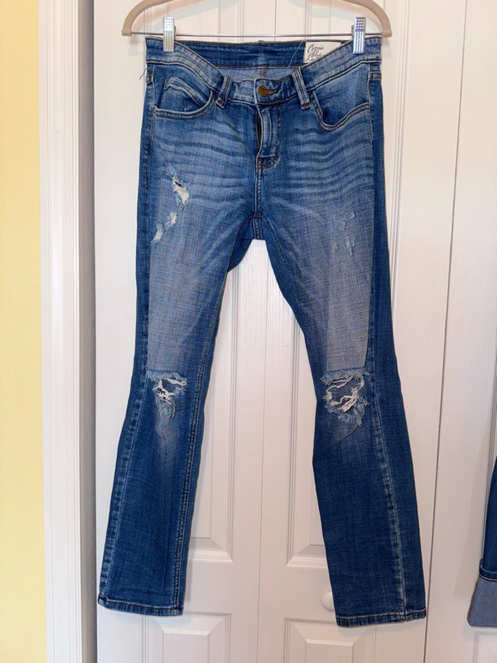 Distressed Skinny Jeans in Blue - Women's Slim Fit
